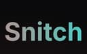MCP Snitch