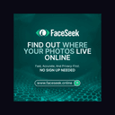 Faceseek AI Face Search
