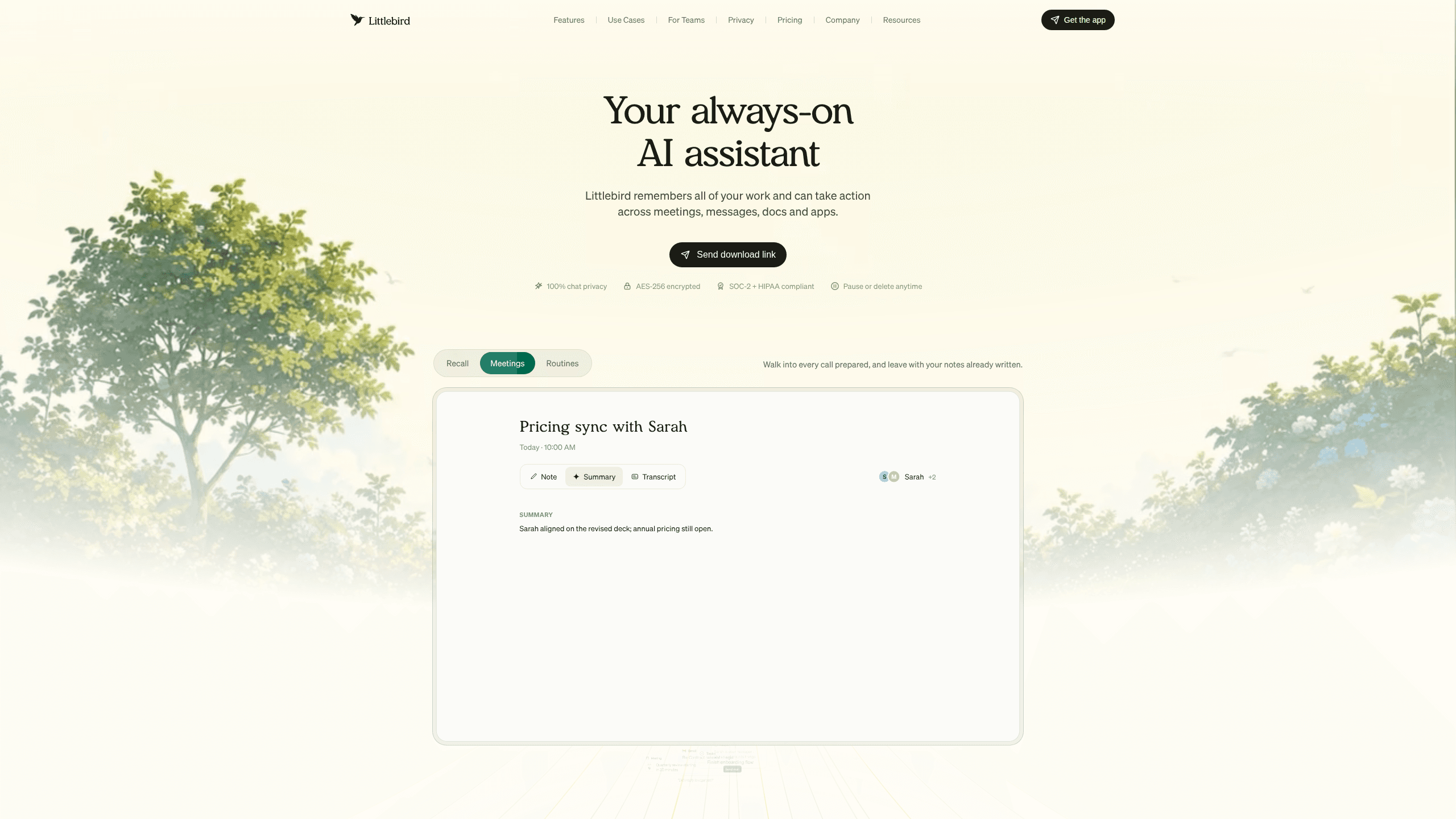 Interface preview of Littlebird