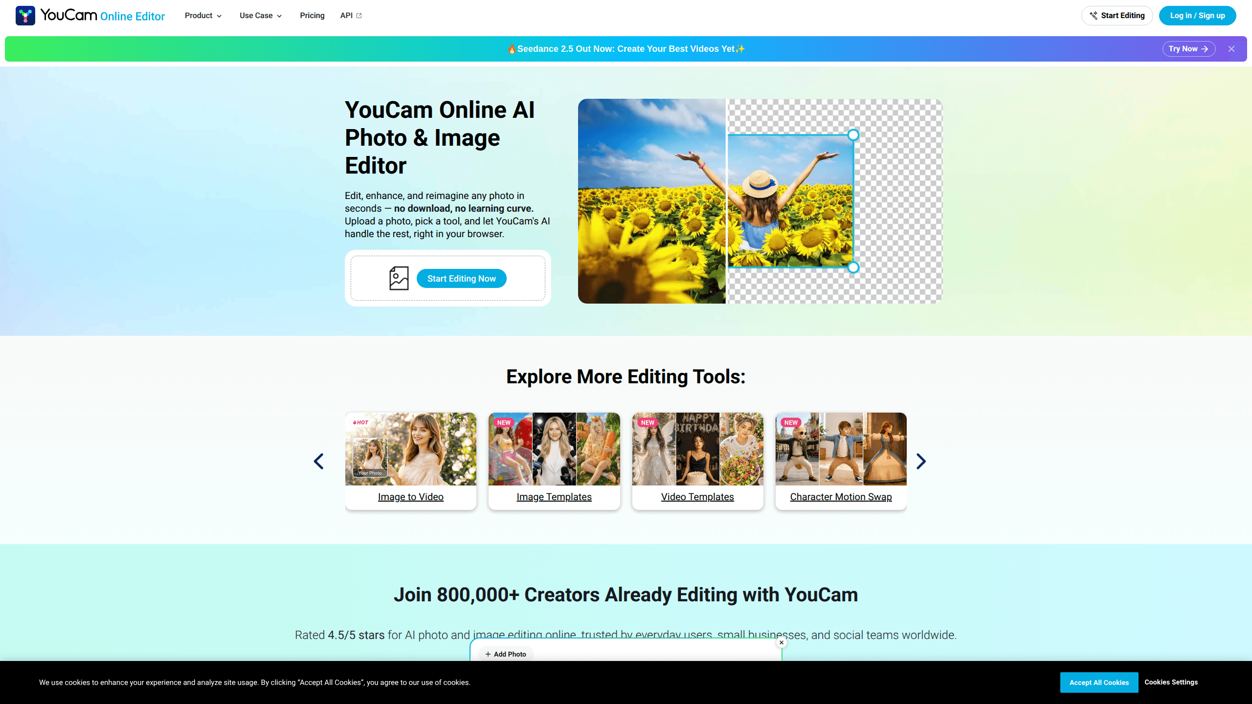 Interface preview of Youcam Online Editor