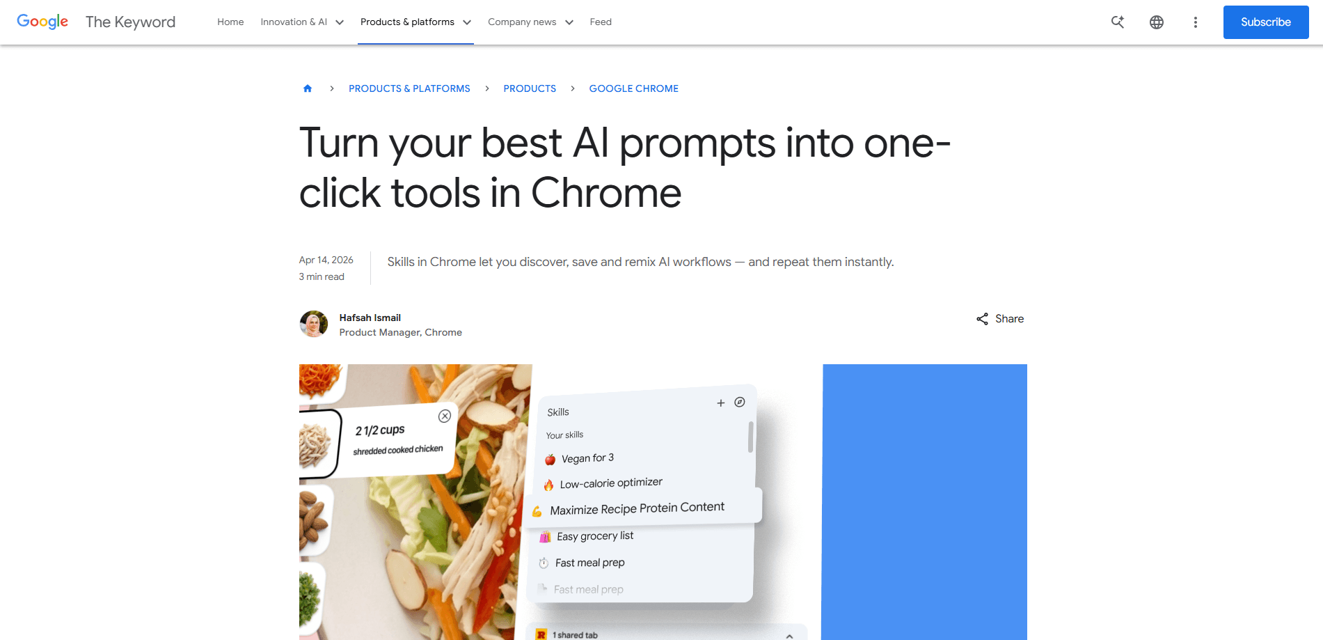Google Chrome Skills 미리보기