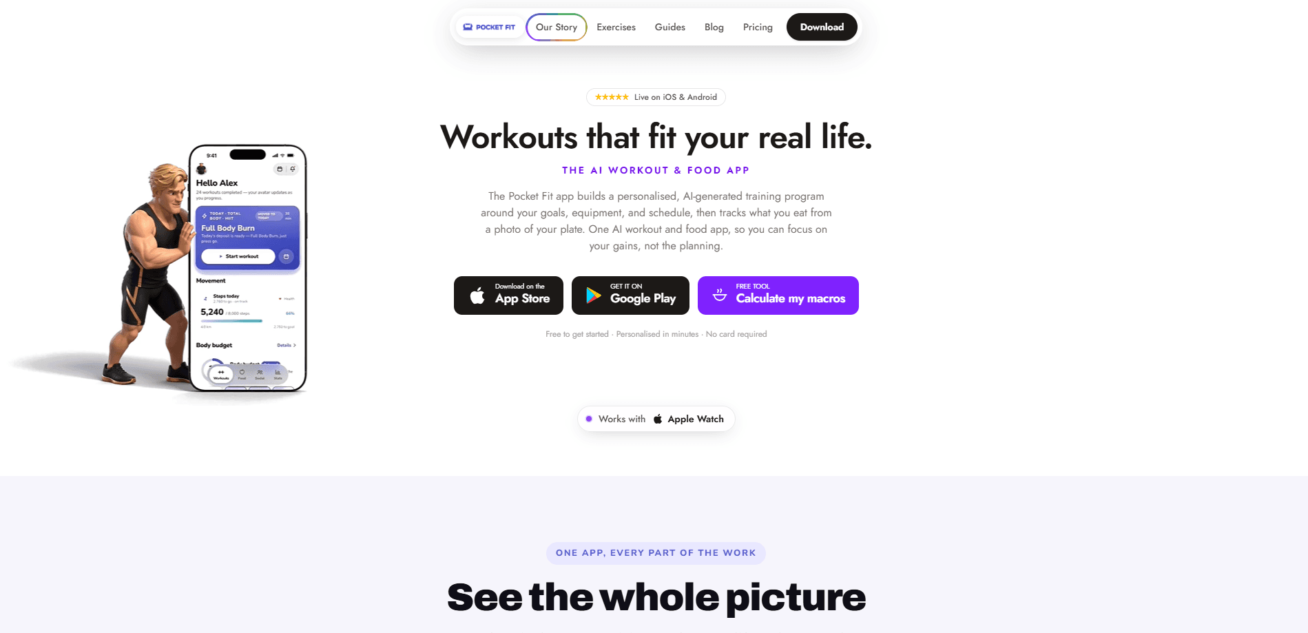 Interface preview of Pocket Fit: Workout Tracker