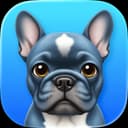Pulldog