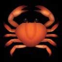 Clawshell