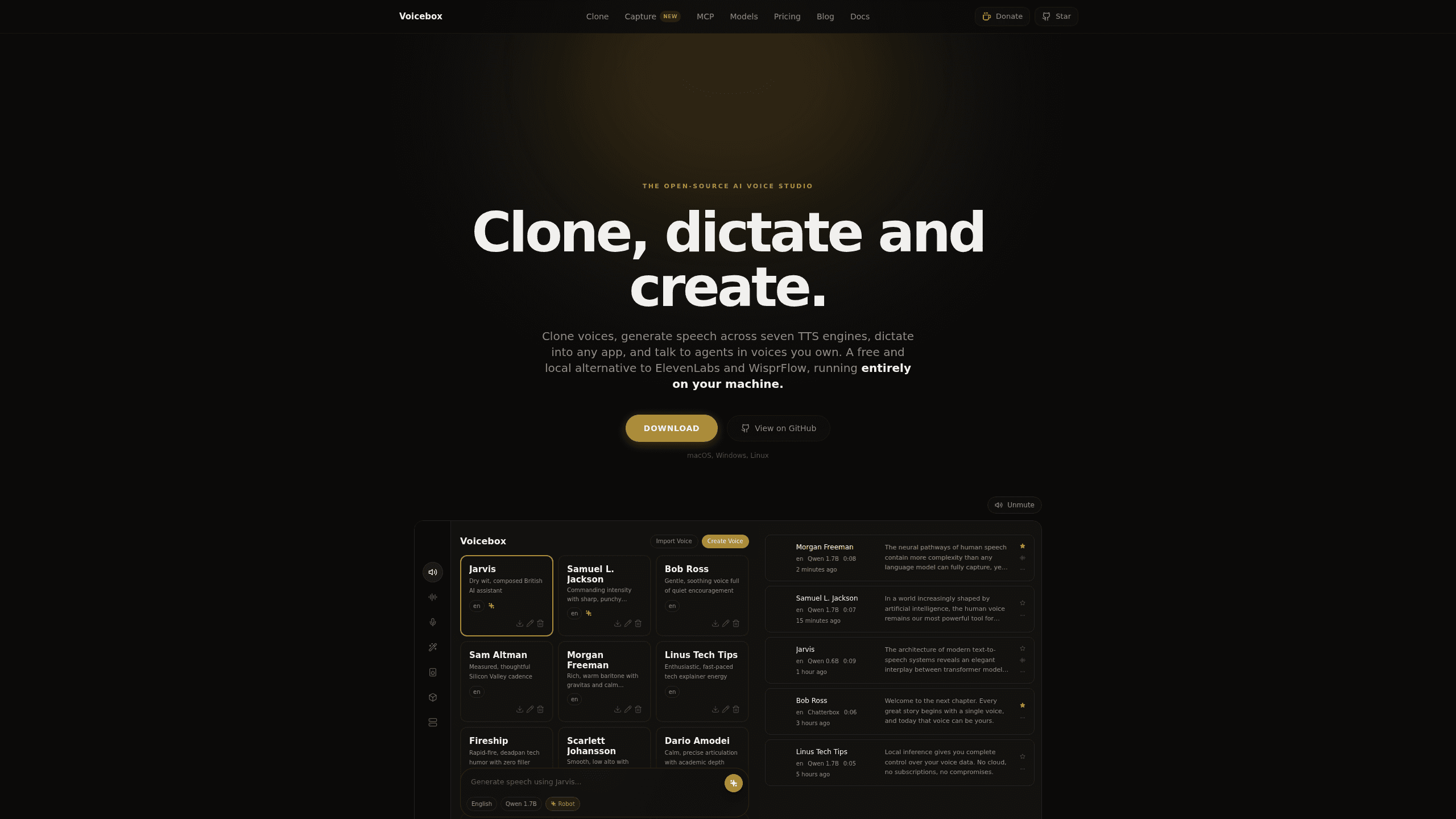 Interface preview of Voicebox