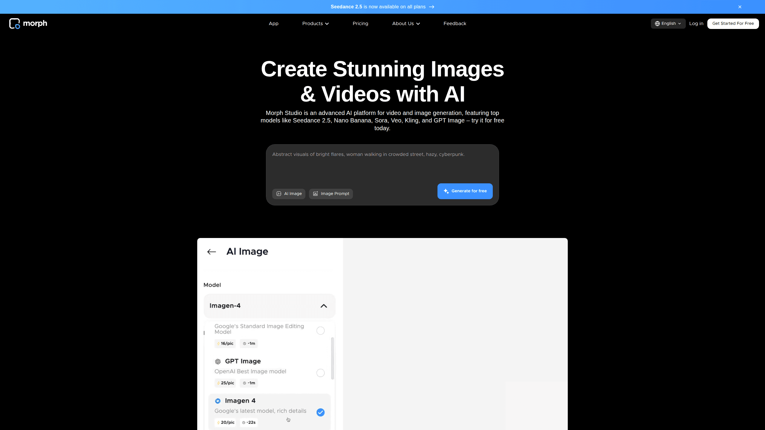 Interface preview of Morph Studio