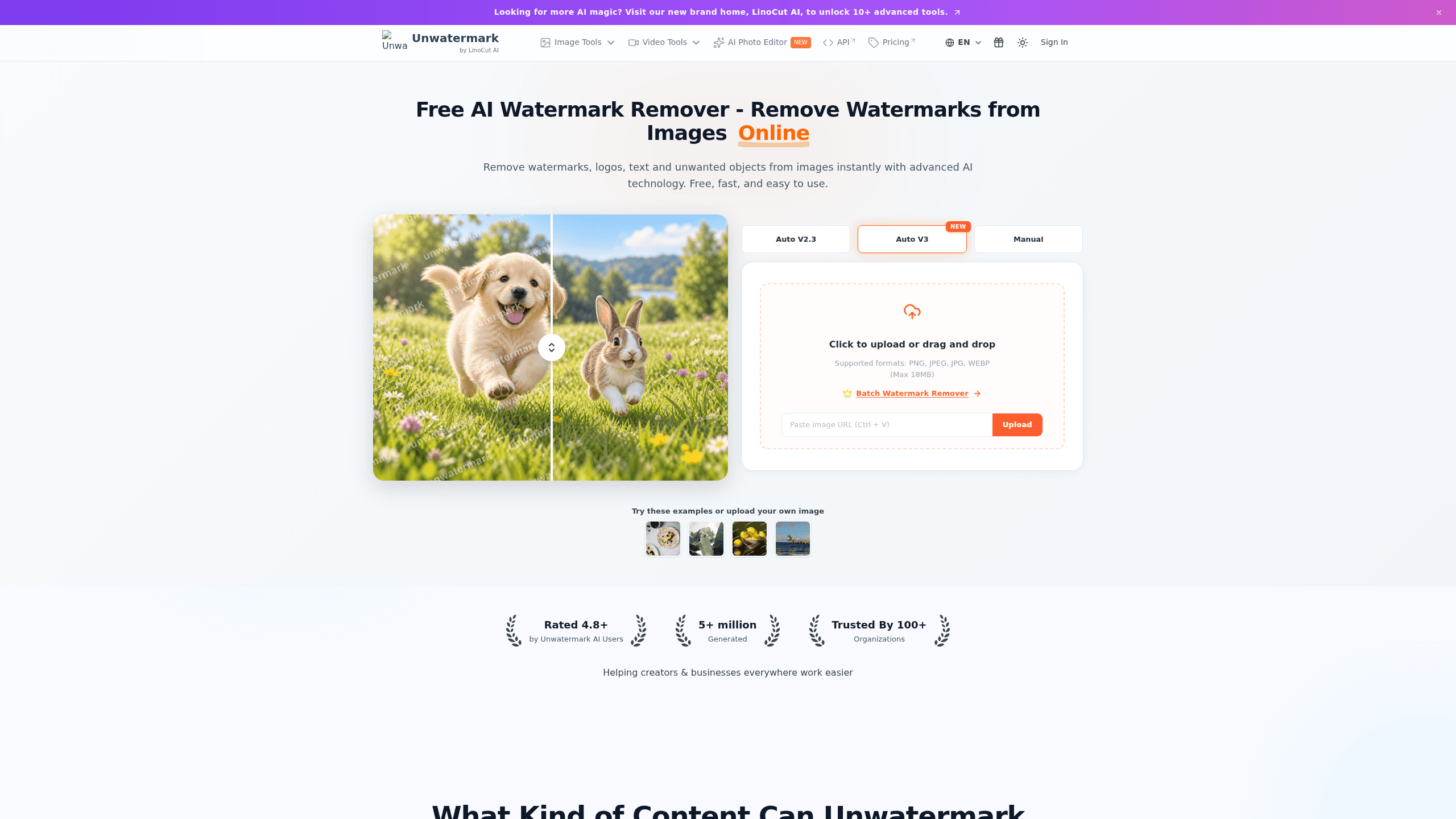Interface preview of Unwatermark AI