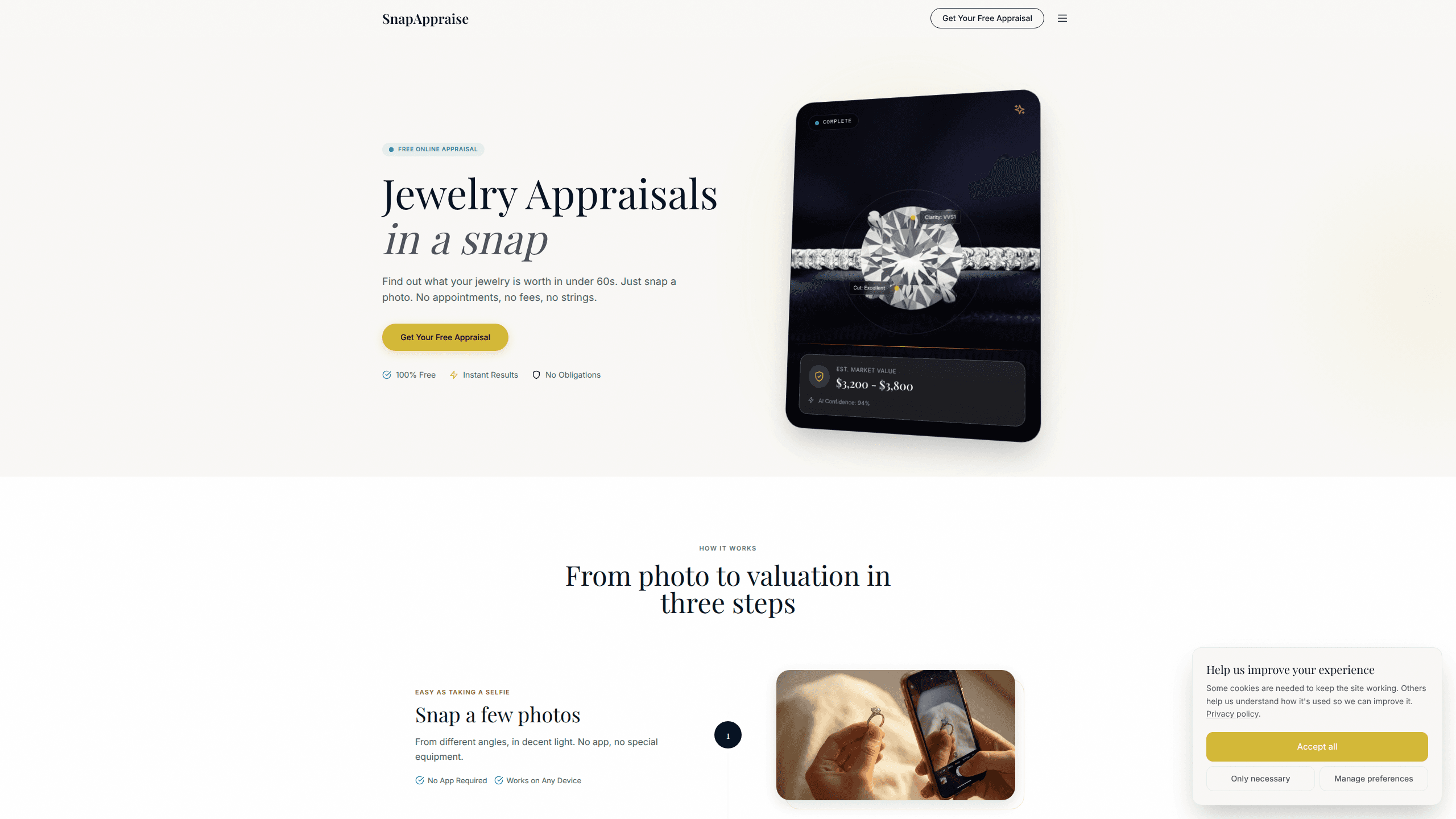 Interface preview of Jewelry Appraisal Assistant