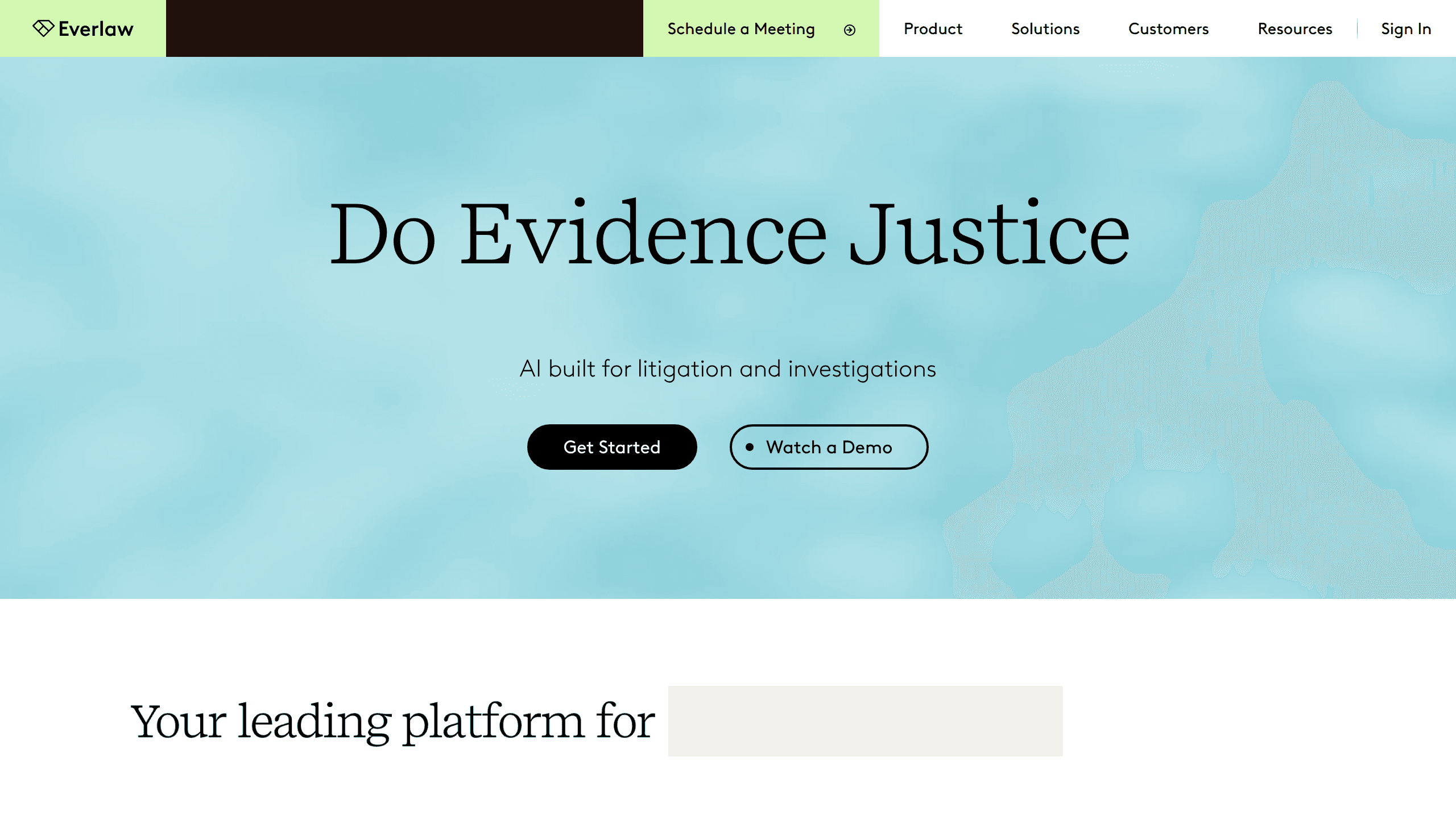Interface preview of Everlaw
