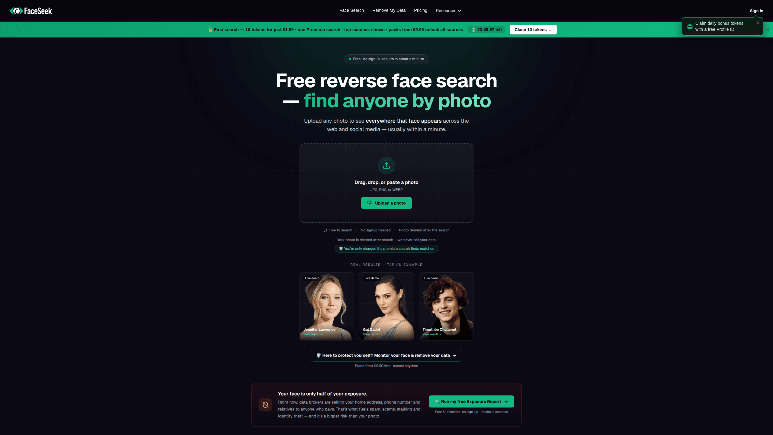 Interface preview of Faceseek AI Face Search