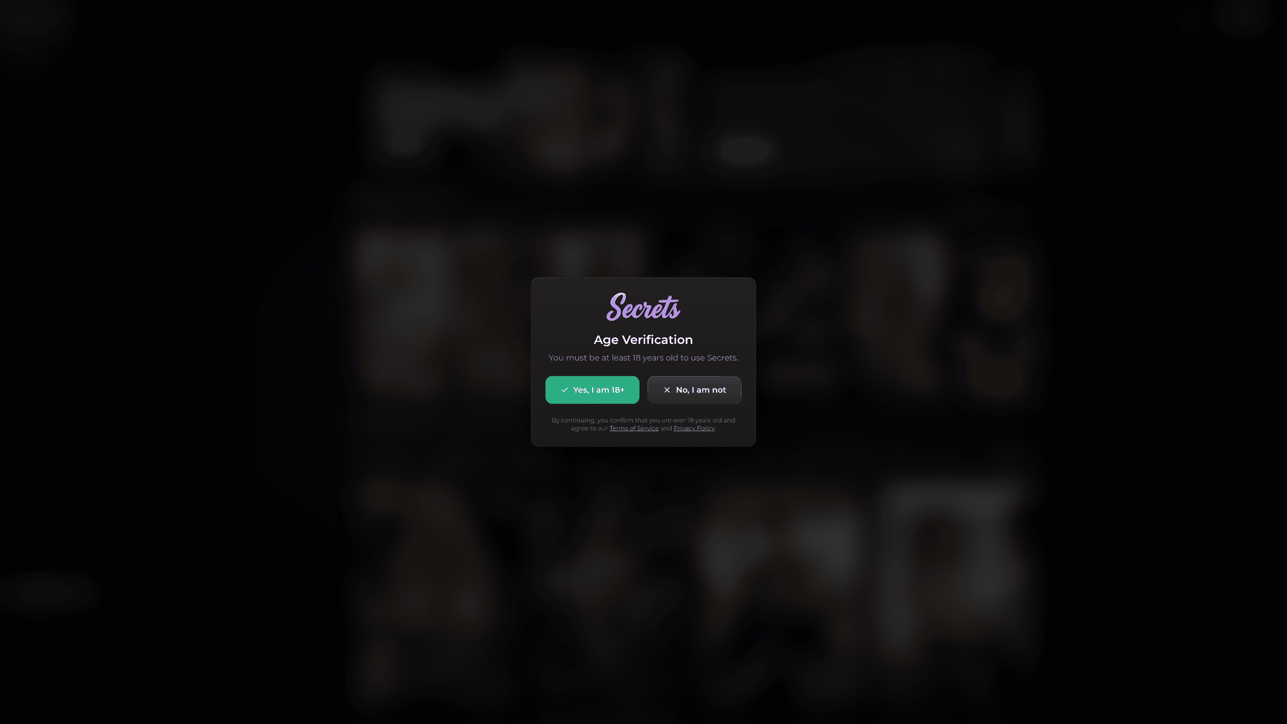 Interface preview of Secrets AI