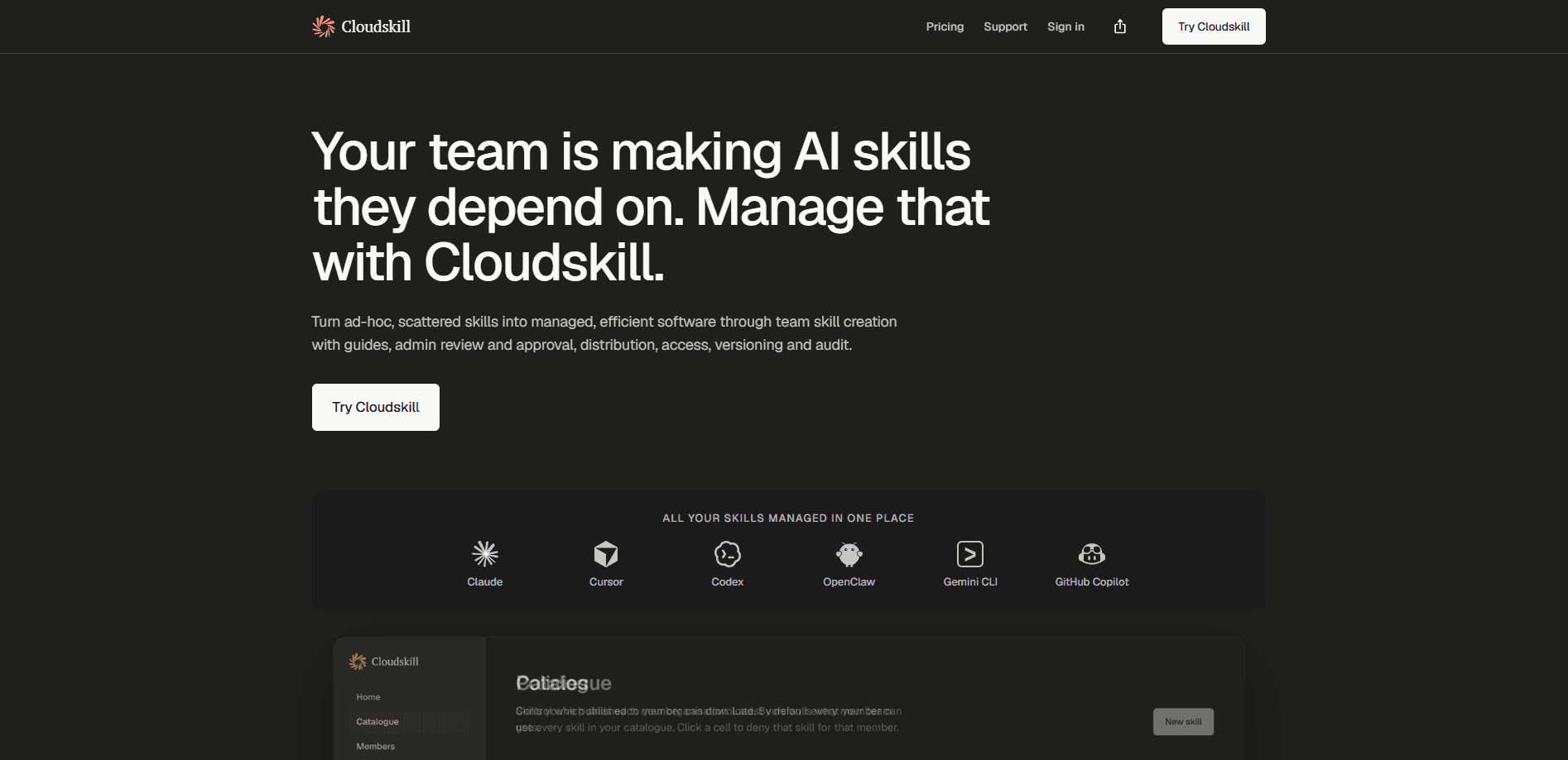 Cloudskill 미리보기