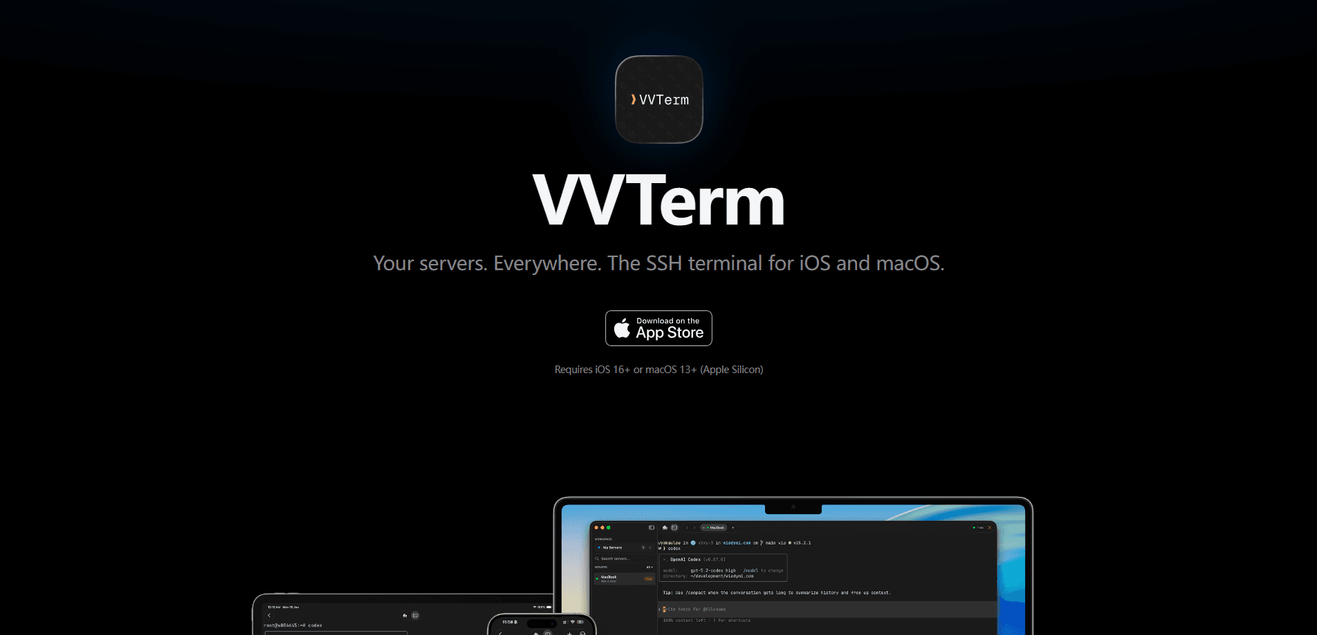 VVTerm 的介面預覽
