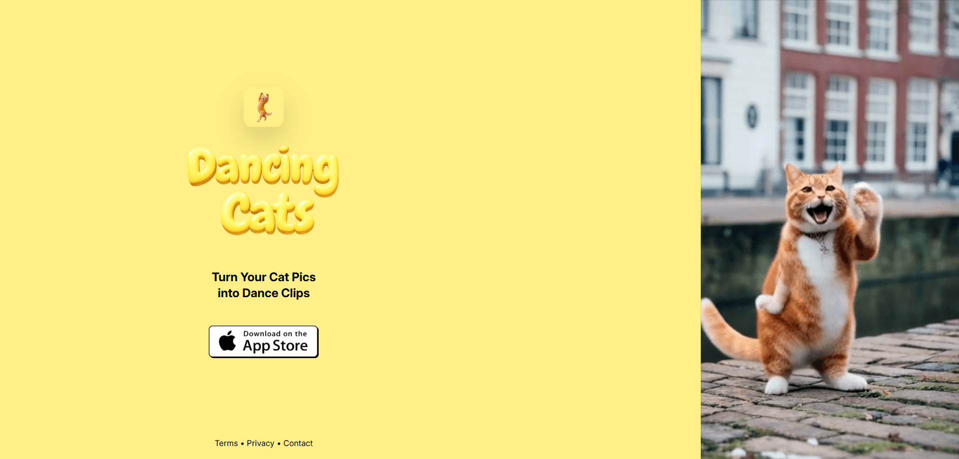 Vorschau der Oberfläche von DANCING CATS App