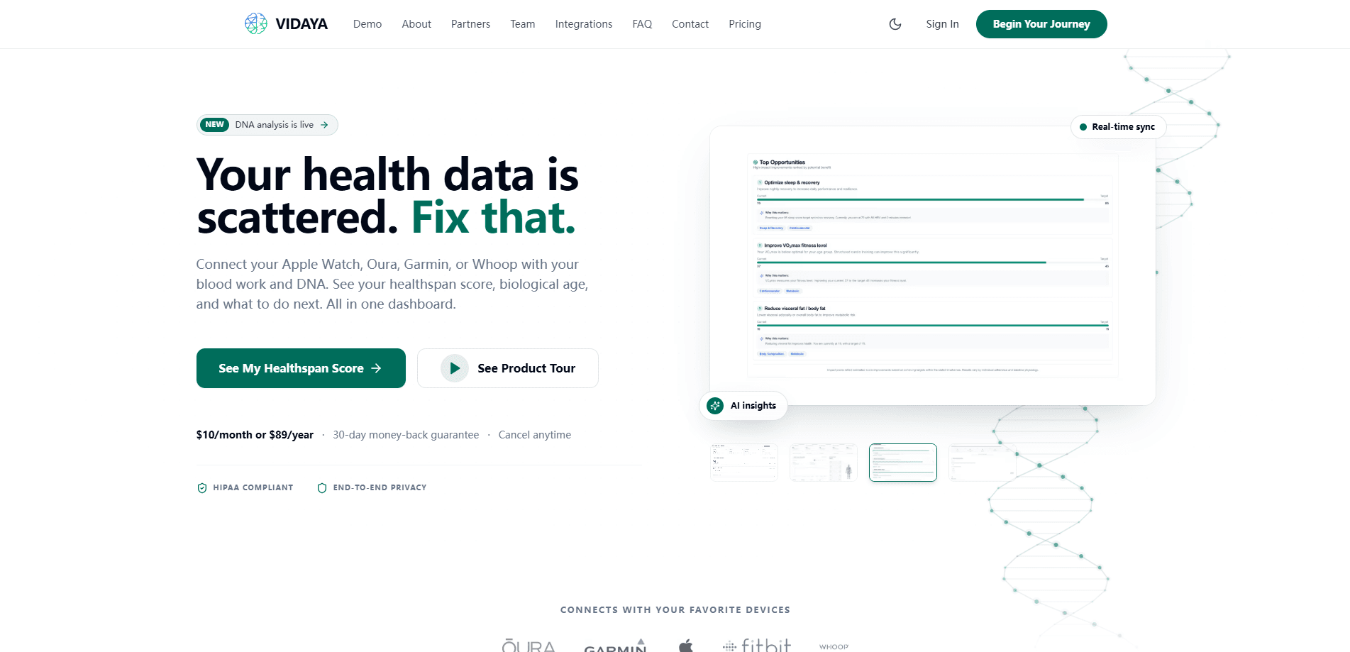 Interface preview of Vidaya