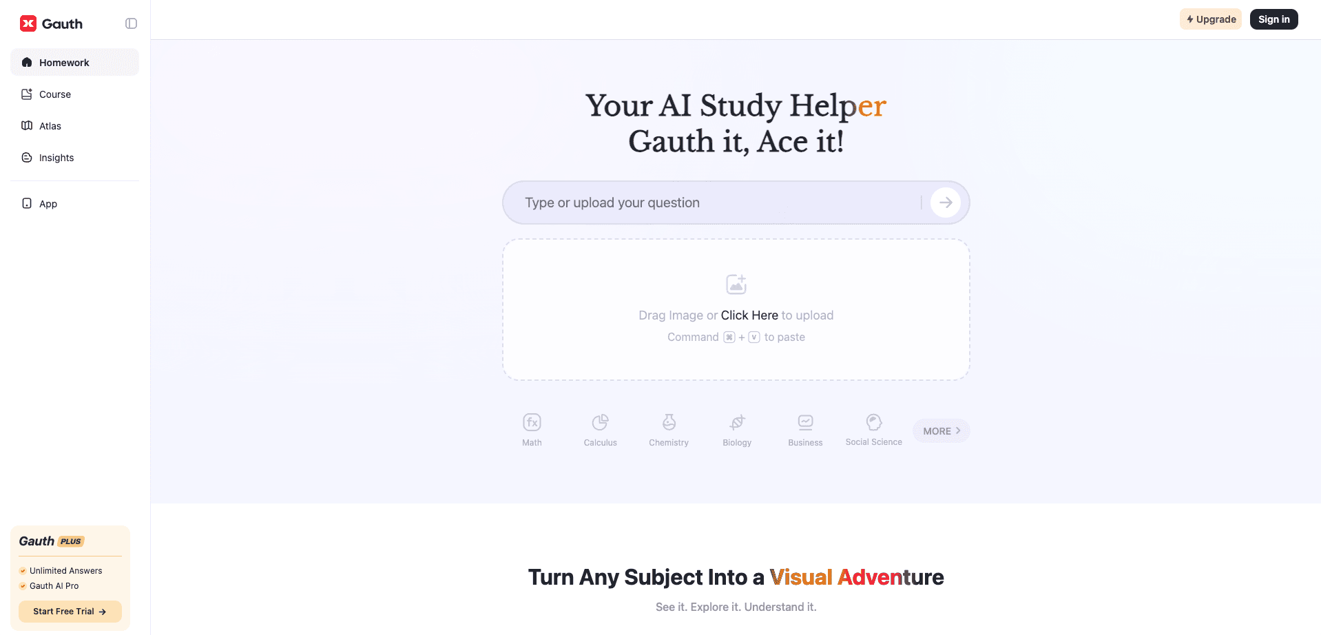 Interface preview of Gauth